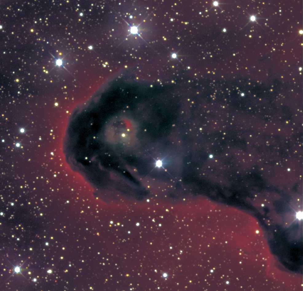 VDB 142 in Cepheus